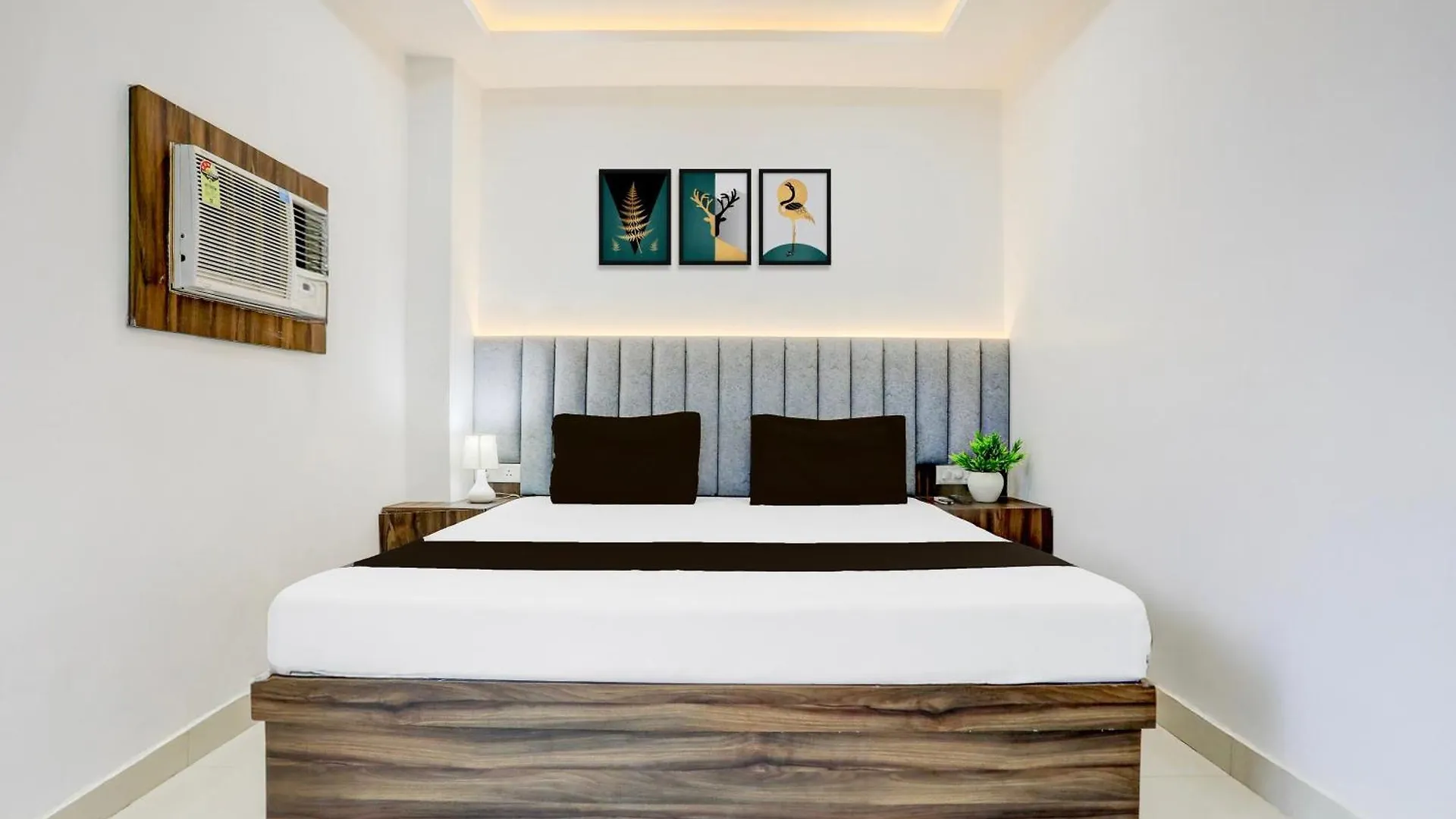 Contacts de Hotel O Natraj Paying Guest House